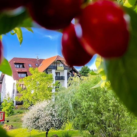 Gasthaus Hirschenstube & Gaestehaus Gehri Waldkirch Kültér fotó